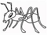 Hormigas Colorear sketch template
