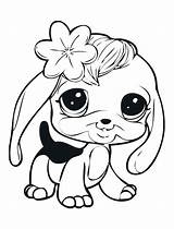 Pages Coloring Zoe Littlest Pet Shop Lps Getcolorings Printable sketch template