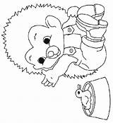 Coloring Pages Hedgehogs Hedgehog Print sketch template