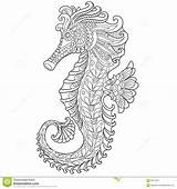 Seahorse Zentangle Stylized sketch template