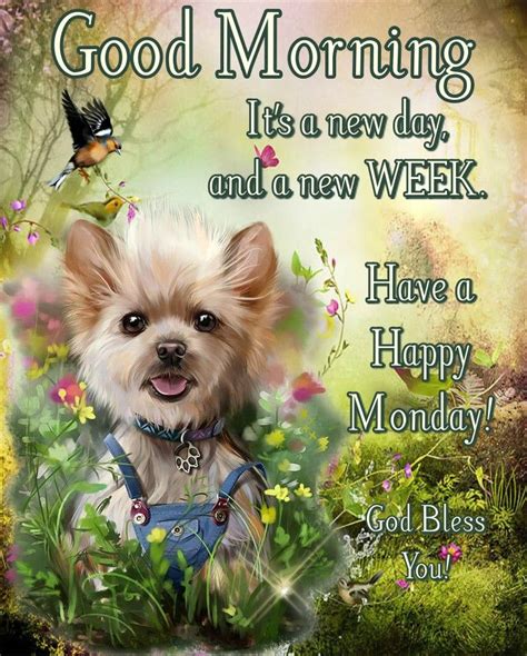 day   week good morning happy monday pictures   images  facebook