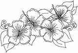Hibiscus Line Drawing Flower Coloring Flowers Getdrawings Hawaiian sketch template