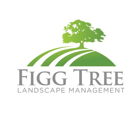elegant playful business logo design  figg tree landscape management  jaimesp design