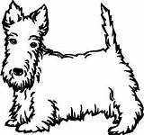 Coloring Scottish Scottie Dog Terrier Pages Decals Kids Template Animals Outline Wall Drawings Templates Dogs Colouring 330px 85kb sketch template