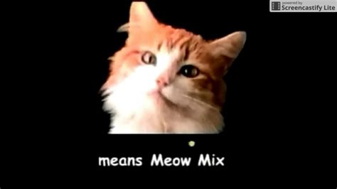 meow meow song youtube