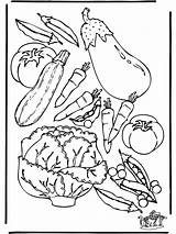 Vegatables Coloring Pages Fruits Vegetable Advertisement sketch template