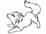 Pup Lobo Colors Winged Lobos Sketchite Coloring Clipartmag Bocetos Loup Coloringbay Birijus sketch template