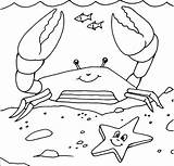 Crab Coloring Hermit Getcolorings Pages sketch template