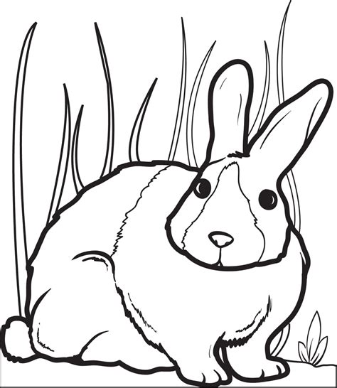 printable bunny rabbit coloring page  kids  supplyme