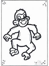 Mono Affe Aap Bambini Macaco Colorare Scimmia Kleurplaat Dibujos Kleurplaten Singe Disegni Dieren Scimmie Kinderkleurplaten Animais Malvorlagen Jetztmalen Nukleuren Monos sketch template