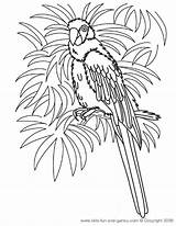 Coloring Pages Hawaiian Macaw Printable Hawaii Kids Parrot Sheets Birds Luau Print Bird Colouring Color Fun Games Theme Adults Adult sketch template