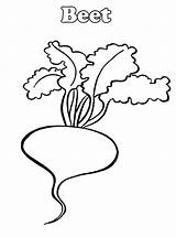 Beets Coloring Pages sketch template