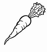 Carrot Coloring Pages Printable Carrots Categories Kids A4 Supercoloring sketch template