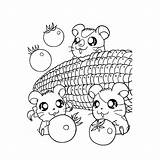 Hamster Coloring sketch template