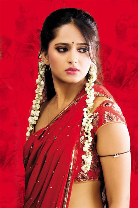 designer saree bollywood saree bridal saree actress anushka shetty in red saree stills