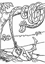 Coloring Jungle Kaa Mowgli Mogli Ausmalbild Dschungelbuch Getdrawings Coloringhome Ausdrucken Ausmalen Zeichnungen Malvorlagen Kolorowankidowydruku Schlangen Python Fensterbilder Arbeit Kindern Tisch sketch template