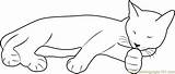 Coloring Cat Sleeping Cute Pages Printable Coloringpages101 Cats Print Pdf sketch template