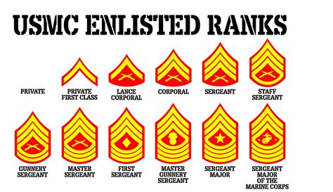 large usmc enlisted rank chart  color vinyl wall decal  etsy