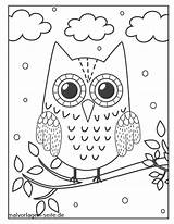 Eule Coloring Malvorlage Eulen Ausmalen Malvorlagen Sova Kostenlos Ast Stranice Owls Lumi Boja Vögel Baum Verbnow Bojanje sketch template