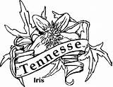 Tennesse sketch template