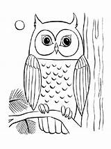 Owl Coloringhome Bestappsforkids Getcolorings sketch template
