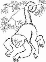 Monkey Coloring Pages Kids Printable Drawing sketch template