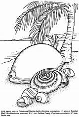 Coloring Pages Beach Book Shells Sea Printables Adult Ocean Glass Stained Shell Dover Publications Color Printable Doverpublications Seashells Patterns Welcome sketch template
