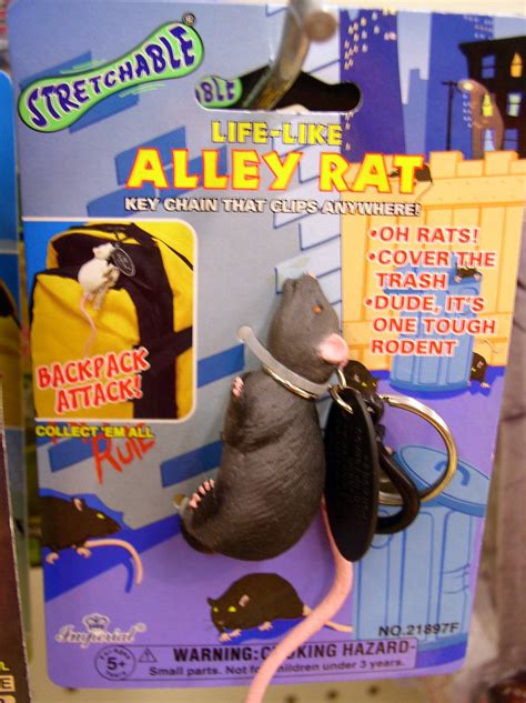 alley rat debaird flickr