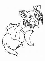 Coloriage Chihuahuas sketch template