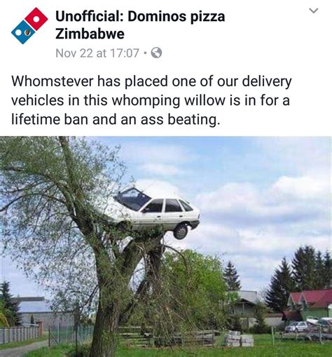 dominos pizza zimbabwe memes