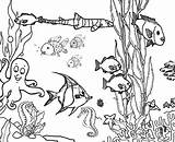 Coloring Ocean Pages Fish Reef Coral Aquarium Ecosystem Drawing Plants Marine Sea Printable Underwater Floor Barrier Great Clipart Print Hidden sketch template