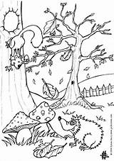 Forest Coloring Pages Para Colorir Páginas Visitar Site Hedgehog Squirrel sketch template