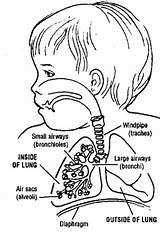Respiratory Asthma sketch template