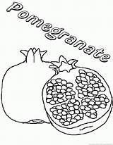 Pomegranate Pomegranates 123coloringpages sketch template