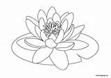 Lily Water Coloring Drawing Pad Clipart Flower Lilies Drawings Pages Lilly Lotus Flowers Kids Line Coloringpage Eu Pond Getdrawings Nénuphar sketch template