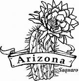 Arizona Coloring State Cactus Clipground Coloringhome sketch template