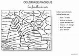 Mots Vocabulaire Coloriage Magique Coloriages Magiques Regrouper Familles sketch template