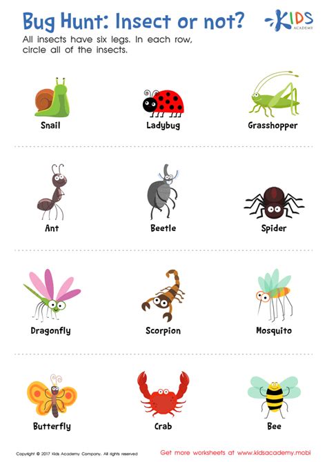 insect worksheets kindergarten printable kindergarten worksheets