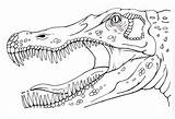 Spinosaurus Coloring Pages Dinosaur Designlooter 88kb 437px sketch template