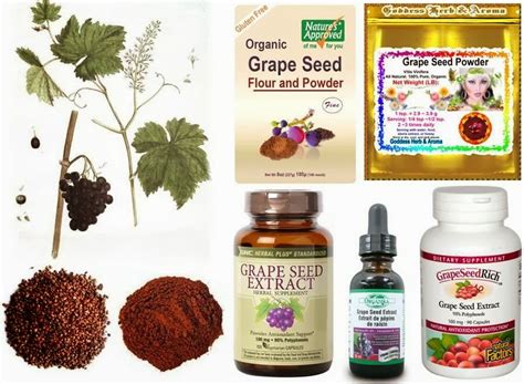ottawa valley dog whisperer grape seed extract alternative medicine