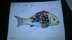 simple fish anatomy diagram ocean unit study pinterest fish
