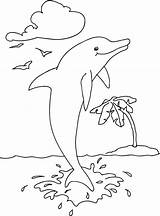 Delfin Ausmalbilder Delfine Ausdrucken Mewarnai Delphin Lumba Hewan Kinderbilder Malbuch Cetacea Malvorlage Innen Dolphin Oceanic Pferd Ikan Hiu Malen 2385 sketch template