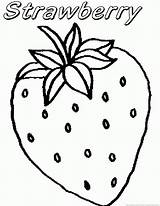 Strawberry Coloring Pages sketch template