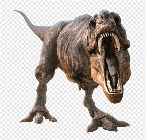 adocus  computer graphics dinosaur gray tyrannosaurus rex dinosaur