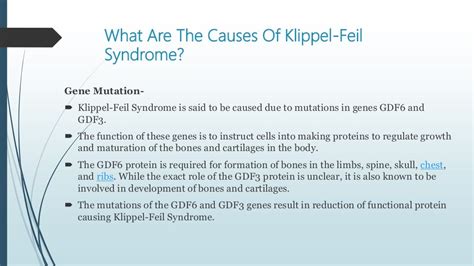 Klippel Feil Syndrome