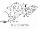 Rio Coloring Pages Movie Bird Pelicula Para Colorear Birds Kids Template Online Sheets Colouring Printable Idea Book Buscar Con Google sketch template