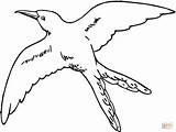 Mockingbird Beija Desenhos sketch template