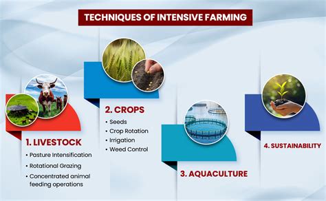 intensive farming techniques  benefits  features