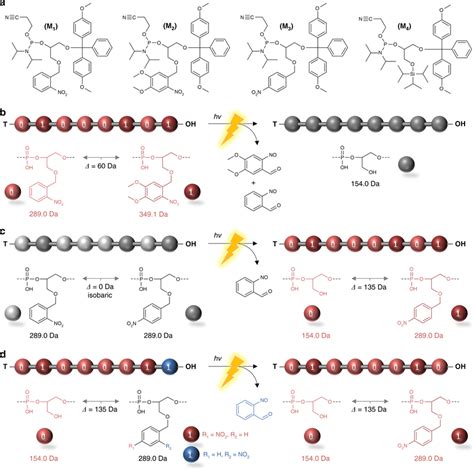 monomer  polymer design  molecular structures     scientific diagram