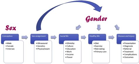 Sex And Gender Inclusion Analysis And Reporting In Anaesthesia